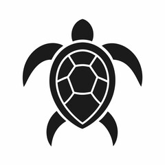 Obraz premium Hawksbill Turtle