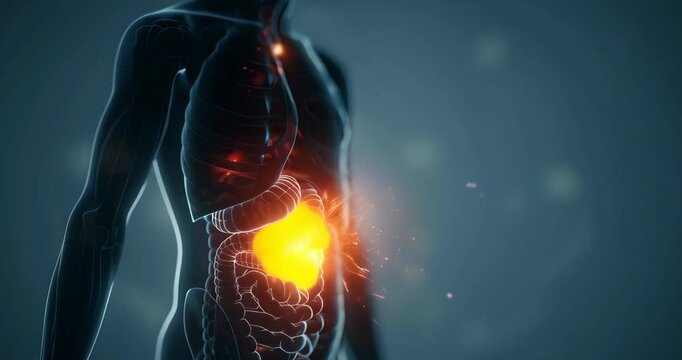 Point with increased pain in the abdominal cavity