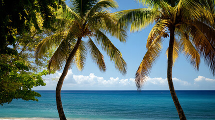 Two palm trees are on the beach next to the ocean