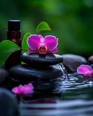 Tranquil Spa Scene with Stones and Orchid Flower