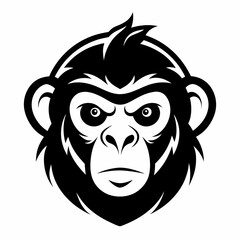 Obraz premium monkey