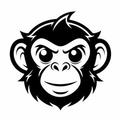 Obraz premium monkey