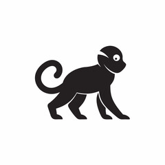 Obraz premium monkey