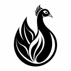 Obraz premium peacock