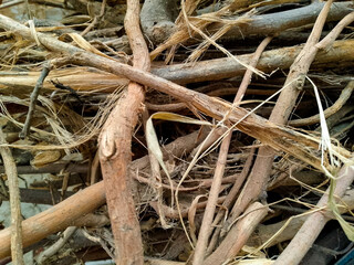 Wood Branches for fireworks - Dried Tree Roots