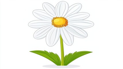 Beautiful White Flower with Yellow Center Illustration