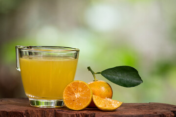 Kumquat or Citrus Japonica fruits and extract on natural background.