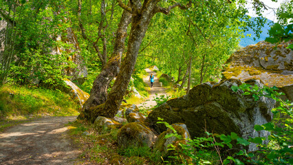 Wanderweg in Solvorn am Sognefjord in Norwegen 