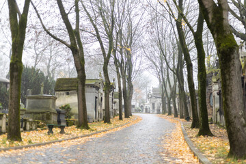 On the way to the Paris cemetery on a foggy day