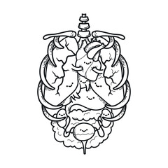 Cartoon-style human abdominal organs with smiling faces, great for digestive system education