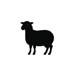 A black sheep standing in a plain background