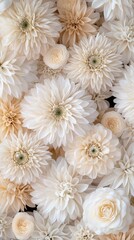A rich tapestry of pink peonies, ranging from deep fuchsia to soft rose tones, showcases intricate petals and buds, evoking the beauty of spring's floral abundance