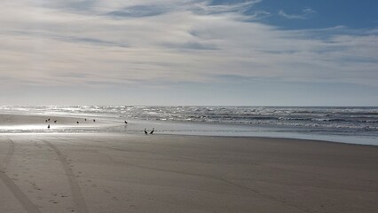 Clouds in the sky at sunset over the roofs of houses.

