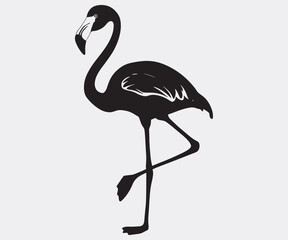 Flamingo silhouettes of birds, Flamingo silhouettes, large pack of vector silhouette design, isolated white background Artwork