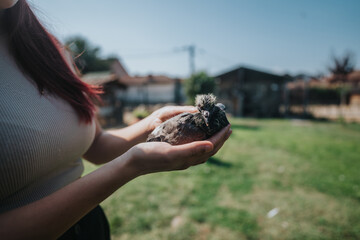 Close-up of a woman holding a tiny bird in her hands, showcasing care and tenderness in a peaceful backyard setting.