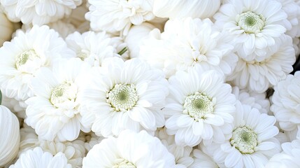 Fototapeta premium The arrangement showcases white pumpkins interspersed with cheerful white flowers, creating a seasonal feel with high detail and clarity, perfect for autumn décor