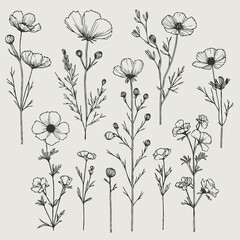 set of flowers vector
illustration of a flower
black and white flower