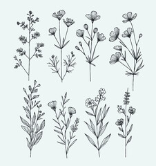set of flowers vector
illustration of a flower
black and white flower