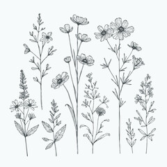 set of flowers vector
illustration of a flower
black and white flower