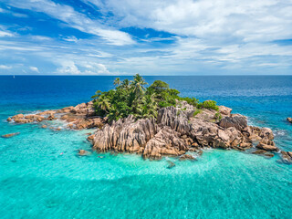 Chauve Souris Relais Praslin Seychelles © ewelinaf