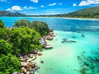 Chauve Souris Relais Praslin Seychelles © ewelinaf