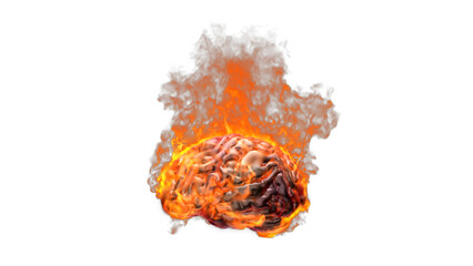Burning Brain Fire