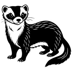 Ferret vector silhouette illustration on white background