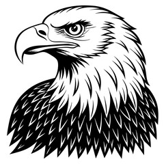 bald eagle illustration