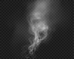 Gordijnen White smoke, vape, fog, smog. Illustration of smoke on a transparent background.    © Olga