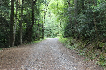 Caminos y Paisajes Estación de Canfranc - 2023 - 16