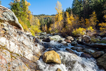 An Autumn scenery of the North Yuba River with trees changing colors.