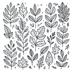 illustration of a plant
set of leaves
black and white silhouettes of leaves
seamless pattern with leaves