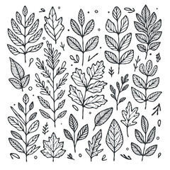 illustration of a plant
set of leaves
black and white silhouettes of leaves
seamless pattern with leaves