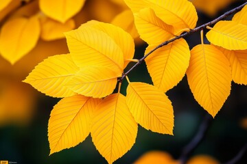 Obraz premium Enchanting Winter Night Landscape, Starry Sky Over Snow-Covered Path, Lush Pine Trees, Serene Atmosphere