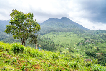 Yellamalai from Gudalur, Tamil Nadu - A Plantation Village in Tamil Nadu Neelagiri District.