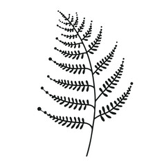 Adobe Illustrator Artwork
illustration of a plant
set of leaves
black and white silhouettes of leaves
seamless pattern with leaves