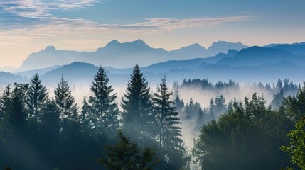 Obraz premium Realistic mountains landscape. Morning wood panorama, pine trees and mountains silhouettes. Vector forest hiking background