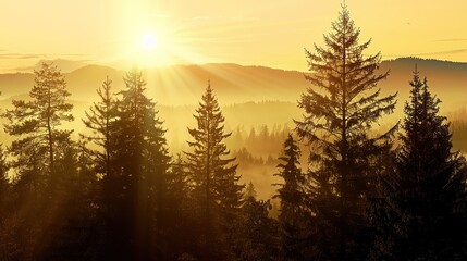 Obraz premium Realistic mountains landscape. Morning wood panorama, pine trees and mountains silhouettes. Vector forest hiking background