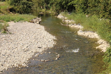 Stony riverbed in the green