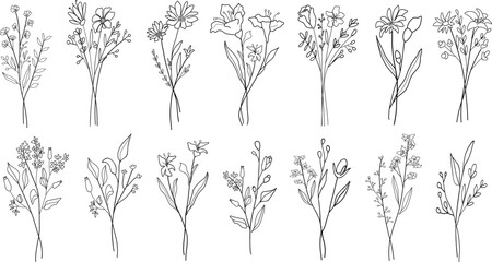 Set of different line art wildflower bouquets. Hand drawn botanical vector set. Trendy floral illustration set of wildflower.