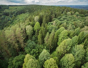 Obraz premium Aerial view of vibrant green mixed forest showcasing lush treetops under a cloudy sky