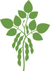 Soybean silhouette. Isolated soybean on white background