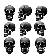 Realistic 3D Rendered Skulls from Multiple Angles