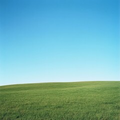 Obraz premium Lush Green Meadow Under Blue Sky Stock Photo