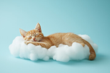 Orange cat sleeping on a cloud, isolated on light blue background