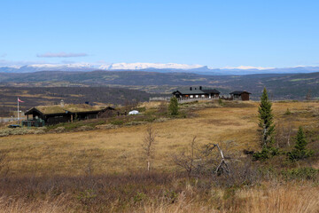 Landscape