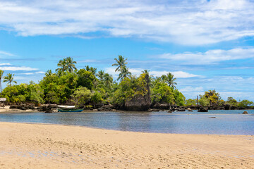 beach with coconut trees and boat