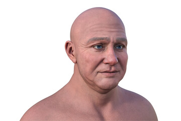 3D illustration of a middle-aged bald man's face and neck