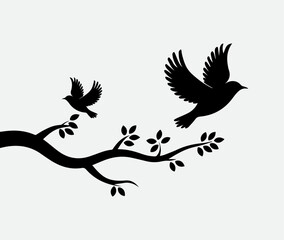 silhouette of a birds