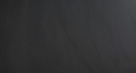 Obraz premium Minimalist Dark Surface with Subtle LightSlateGray Texture and Soft Light